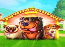 The Dog House